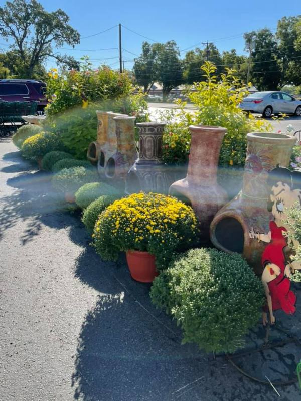 Greens Produce and Plants in Arlington, Texas