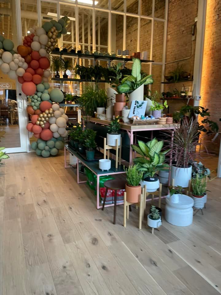 The Planting Hand in Dallas, Texas